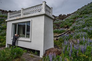 vestmannaeyjar-47